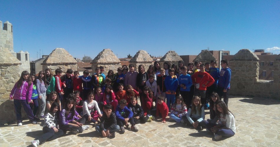 Participantes del C.R.A. Santa Teresa (Narros del Castillo), C.R.A. Miguel Delibes (Mingorria), C.C. Divina Pastora (Arenas de San Pedro) y C.P. La Moraña (Arévalo)