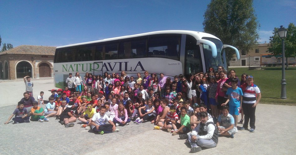 Participantes del C.C. Amor de Dios (Arévalo), C.C. Santisima Trinidad (El Tiemblo), C.R.A. Alto Alberche (Navatalgordo), C.R.A. Alto Gredos (Navarredonda de Gredos), C.R.A. Valdelavia (Herradon de Pinares), C.R.A. Alto Tietar (Navahondilla, Santa Maria del Tietar y Casillas) y C.R.A. Concepción Arenal (Casavieja)