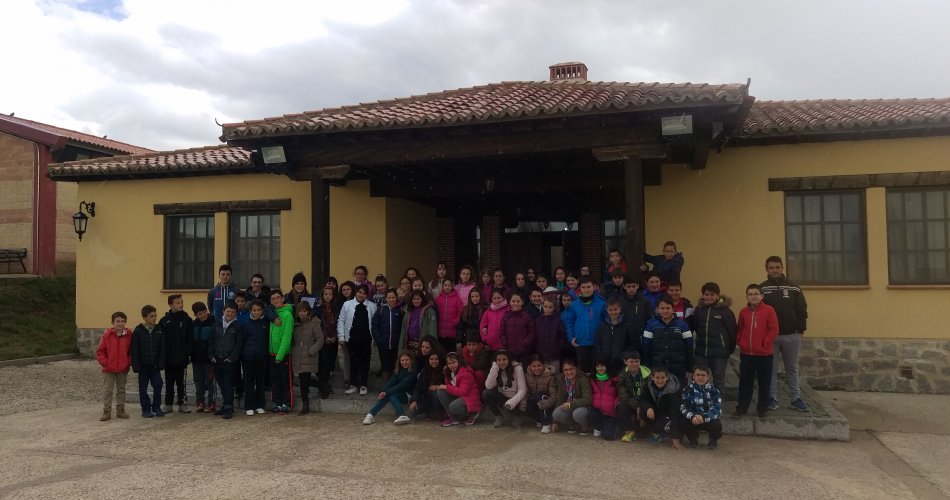 Participantes del C.R.A. Moraña Baja (Langa y Horcajo de Las Torres), C.R.A. La Gaznata (San Bartolomé de Pinares), C.E.O. Virgen de Navaserrada (El Hoyo de Pinares), C.R.A. Llanos de Moraña (Villaflor), C.R.A. Tomás Luís de Victoria (Blascosancho y Sancridrían) y C.E.I.P. Juan XXIII (Fontiveros)