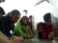 Crazy Lab-Kids (taller de laboratorio)