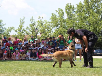 Participantes del C.E.I.P. Los Arevacos y C.C. Amor de Dios (Arévalo)