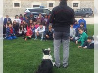 Héroes de Cuatro Patas, Luca