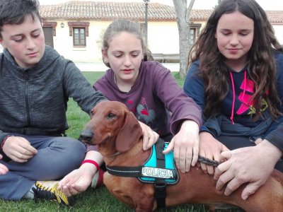 Participantes del CP Villa de La Adrada (La Adrada), CEO Virgen de Navaserrada (El Hoyo De Pinares), CP Gran Duque de Alba (Piedrahita), CRA Valdelavia (El Herradón de Pinares) y CRA Alto Gredos (Navarredonda de Gredos)