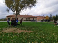 Pelota Base