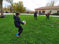 Pelota Base