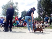 Sofía y sus amigos K9