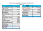 Previsiones de Gastos e Ingresos 2020