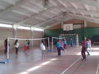 Voleibol