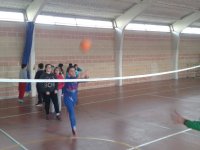 Voleibol