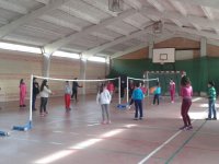 Voleibol