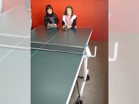 Tenis de mesa