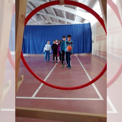 Actividad principal: El Voleibol