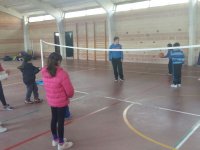 Voleibol