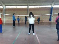 Voleibol