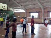 Voleibol