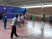 Voleibol