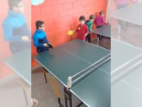 Tenis de mesa