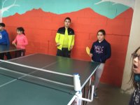 Tenis de mesa