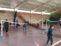 Voleibol