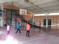 Voleibol