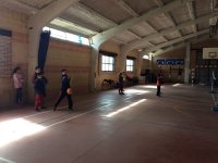 Voleibol