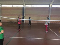 Voleibol