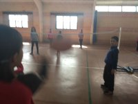 Voleibol