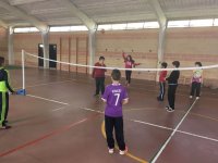 Voleibol