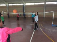 Voleibol