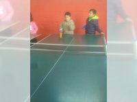 Tenis de mesa