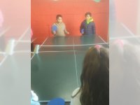 Tenis de mesa