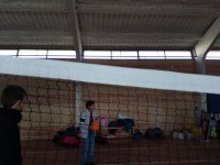 Voleibol