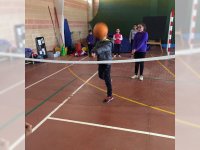 Voleibol