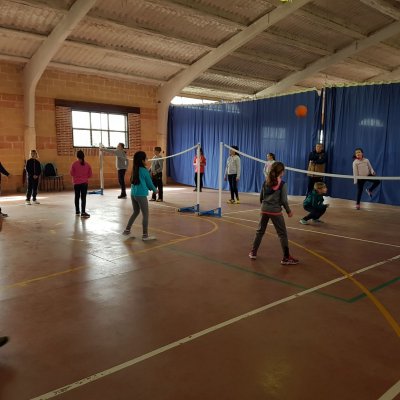 Actividad principal: Voleibol