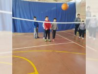 Voleibol