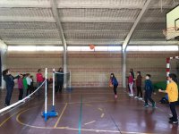 Voleibol