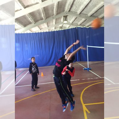 Actividad principal: Voleibol