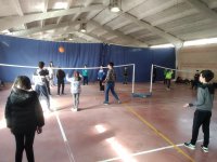 Voleibol