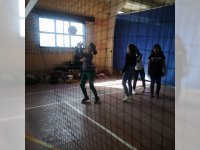 Voleibol