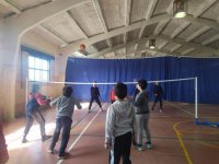 Voleibol